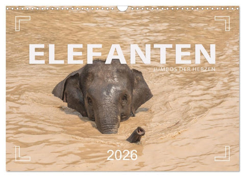 ELEFANTEN Jumbos der Herzen (Wandkalender 2026 DIN A3 quer), CALVENDO Monatskalender
