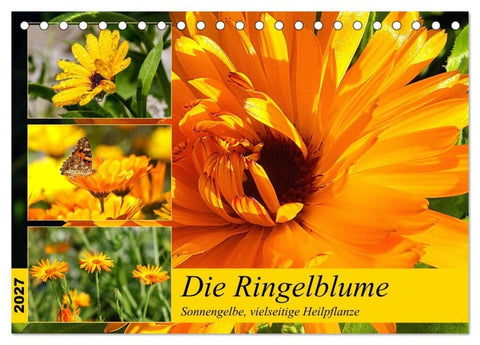 Die Ringelblume. Sonnengelbe, vielseitige Heilpflanze (Tischkalender 2027 DIN A5 quer), CALVENDO Monatskalender