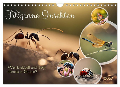 Filigrane Insekten (Wandkalender 2027 DIN A4 quer), CALVENDO Monatskalender
