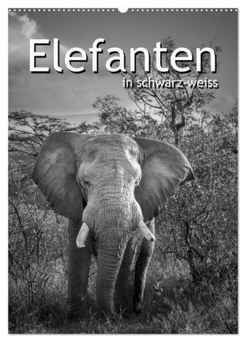 Elefanten in schwarz-weiss (Wandkalender 2026 DIN A2 hoch), CALVENDO Monatskalender