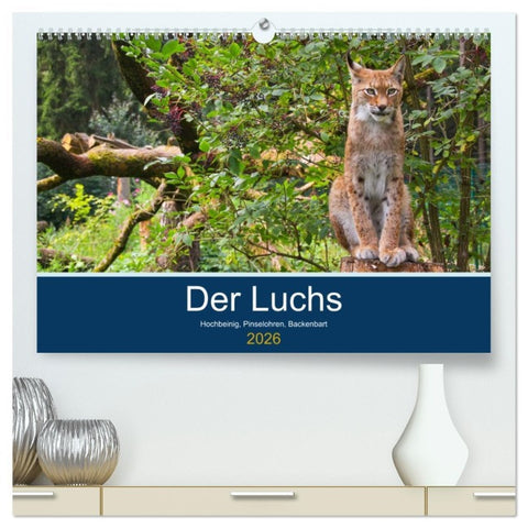 Der Luchs - Hochbeinig, Pinselohren, Backenbart (hochwertiger Premium Wandkalender 2026 DIN A2 quer), Kunstdruck in Hochglanz