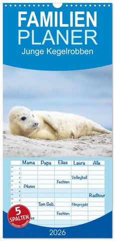 Familienplaner 2026 - Junge Kegelrobben mit 5 Spalten (Wandkalender, 21 x 45 cm) CALVENDO