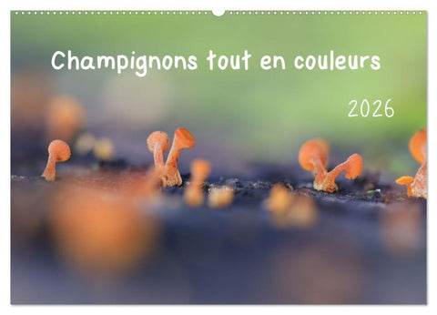 Champignons tout en couleurs (Calendrier mural 2026 DIN A2 vertical), CALVENDO calendrier mensuel