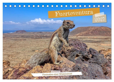 Fuerteventura - Faszination einer Wüsteninsel (Tischkalender 2027 DIN A5 quer), CALVENDO Monatskalender