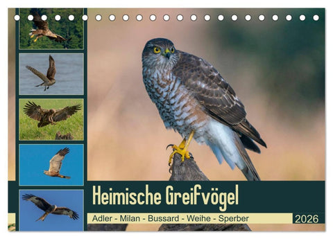 Heimische GREIFVÖGEL Adler Milan Bussard Weihe Sperber (Tischkalender 2026 DIN A5 quer), CALVENDO Monatskalender