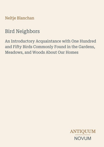 Bird Neighbors