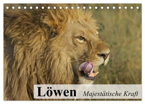 Löwen. Majestätische Kraft (Tischkalender 2026 DIN A5 quer), CALVENDO Monatskalender