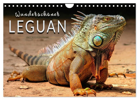 Wunderschöner Leguan (Wandkalender 2026 DIN A4 quer), CALVENDO Monatskalender