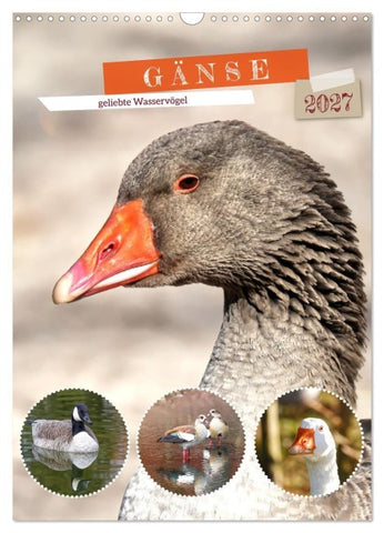 Gänse, geliebte Wasservögel (Wandkalender 2027 DIN A3 hoch), CALVENDO Monatskalender