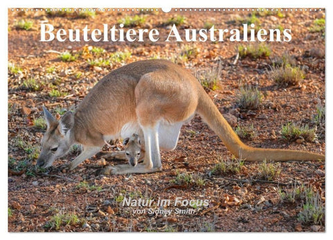 Beuteltiere Australiens (Wandkalender 2027 DIN A2 quer), CALVENDO Monatskalender