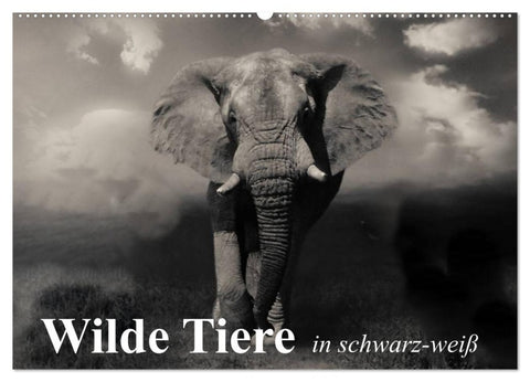 Wilde Tiere in schwarz-weiß (Wandkalender 2026 DIN A2 quer), CALVENDO Monatskalender