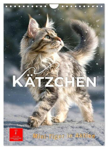 Kätzchen - Mini-Tiger in Aktion (Wandkalender 2027 DIN A4 hoch), CALVENDO Monatskalender