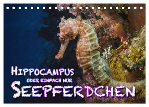 Hippocampus oder einfach nur Seepferdchen (Tischkalender 2027 DIN A5 quer), CALVENDO Monatskalender
