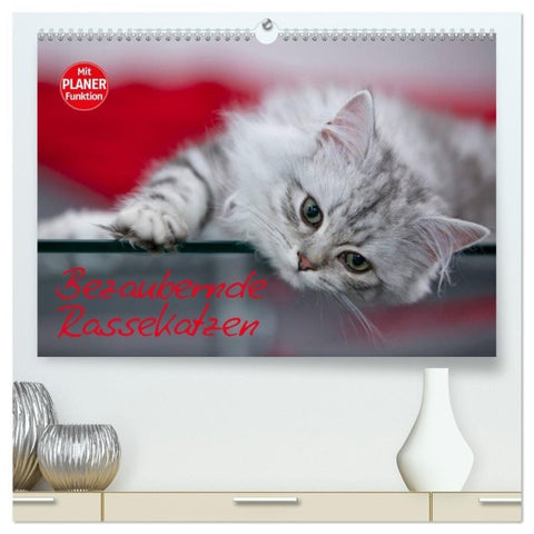 Bezaubernde Rassekatzen (hochwertiger Premium Wandkalender 2027 DIN A2 quer), Kunstdruck in Hochglanz