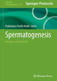 Spermatogenesis