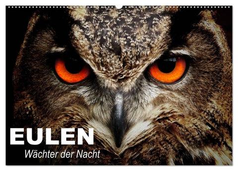 Eulen. Wächter der Nacht (Wandkalender 2026 DIN A2 quer), CALVENDO Monatskalender