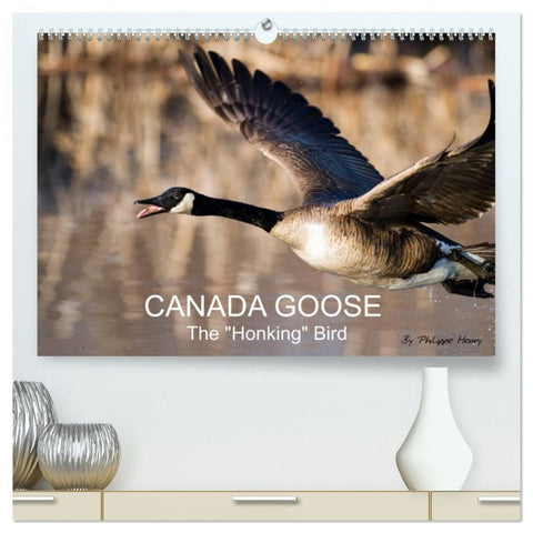 CANADA GOOSE / UK-Version (High Quality Premium Wall Calendar 2026 DIN A2 landscape),CALVENDO 12 Month Wall Calendar