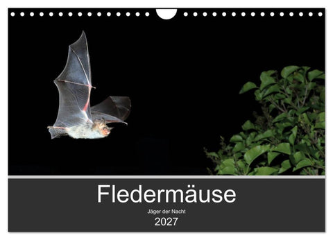 Fledermäuse - Jäger der Nacht (Wandkalender 2027 DIN A4 quer), CALVENDO Monatskalender