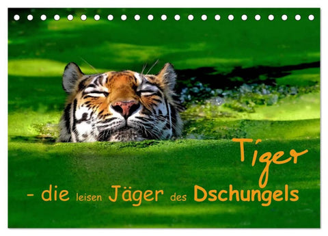 Tiger - die leisen Jäger des Dschungels (Tischkalender 2026 DIN A5 quer), CALVENDO Monatskalender