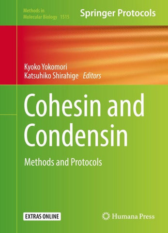 Cohesin and Condensin