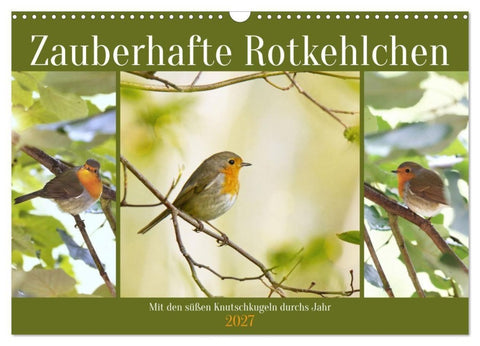 Zauberhafte Rotkehlchen (Wandkalender 2027 DIN A3 quer), CALVENDO Monatskalender