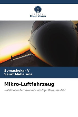 Mikro-Luftfahrzeug