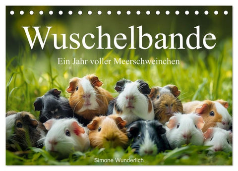 Wuschelbande - Ein Jahr voller Meerschweinchen (Tischkalender 2027 DIN A5 quer), CALVENDO Monatskalender