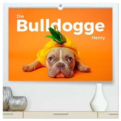 Die Bulldogge Henry (hochwertiger Premium Wandkalender 2027 DIN A2 quer), Kunstdruck in Hochglanz