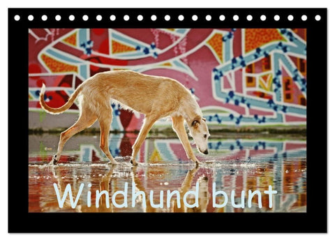 Windhund bunt (Tischkalender 2027 DIN A5 quer), CALVENDO Monatskalender