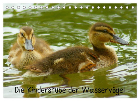 Die Kinderstube der Wasservögel (Tischkalender 2027 DIN A5 quer), CALVENDO Monatskalender