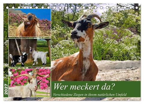 Wer meckert da? (Tischkalender 2027 DIN A5 quer), CALVENDO Monatskalender