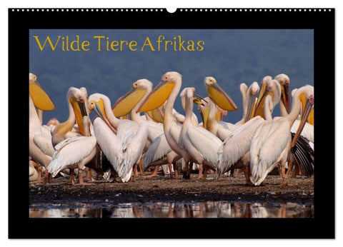 Wilde Tiere Afrikas (Wandkalender 2027 DIN A2 quer), CALVENDO Monatskalender