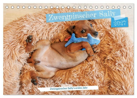 Zwergpinscher Sally‘s erstes Jahr (Tischkalender 2027 DIN A5 quer), CALVENDO Monatskalender