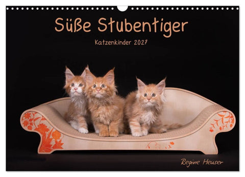 Süße Stubentiger - Katzenkinder (Wandkalender 2027 DIN A3 quer), CALVENDO Monatskalender