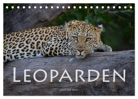 Leoparden - groß und klein (Tischkalender 2027 DIN A5 quer), CALVENDO Monatskalender