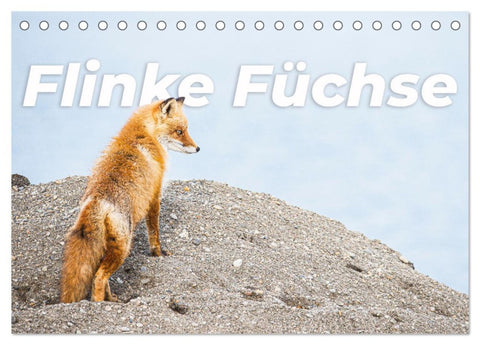 Flinke Füchse (Tischkalender 2026 DIN A5 quer), CALVENDO Monatskalender