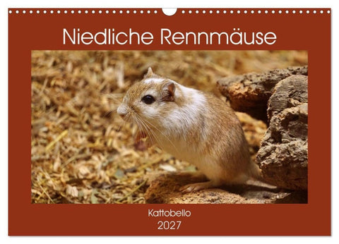 Niedliche Rennmäuse (Wandkalender 2027 DIN A3 quer), CALVENDO Monatskalender