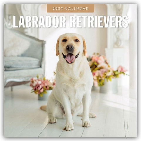 Labrador Retrievers – Labrador Retriever 2027 – 16-Monatskalender