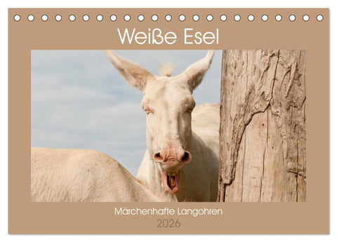 Weiße Esel - Märchenhafte Langohren (Tischkalender 2026 DIN A5 quer), CALVENDO Monatskalender