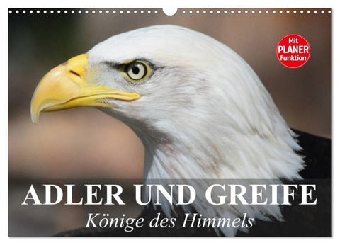 Adler und Greife. Könige des Himmels (Wandkalender 2027 DIN A3 quer), CALVENDO Monatskalender