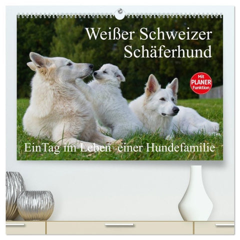 Weißer Schweizer Schäferhund - Ein Tag im Leben einer Hundefamilie (hochwertiger Premium Wandkalender 2026 DIN A2 quer), Kunstdruck in Hochglanz