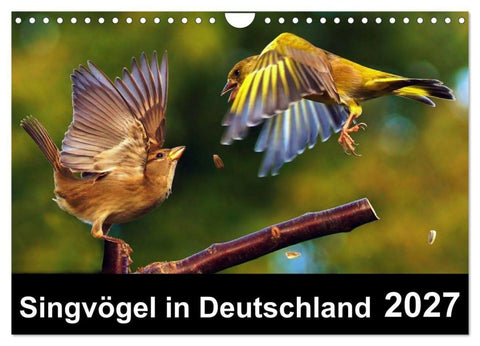 Singvögel in Deutschland (Wandkalender 2027 DIN A4 quer), CALVENDO Monatskalender