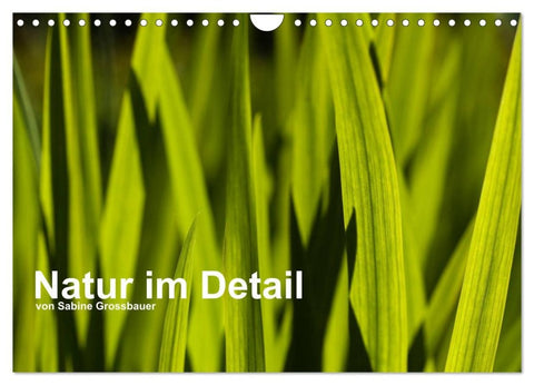 Natur im Detail (Wandkalender 2026 DIN A4 quer), CALVENDO Monatskalender
