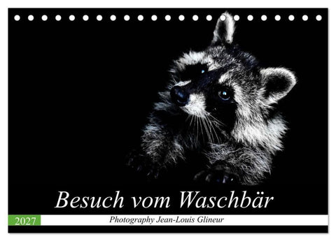 Besuch vom Waschbär (Tischkalender 2027 DIN A5 quer), CALVENDO Monatskalender