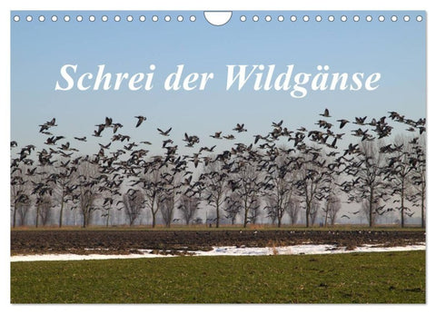Schrei der Wildgänse (Wandkalender 2027 DIN A4 quer), CALVENDO Monatskalender