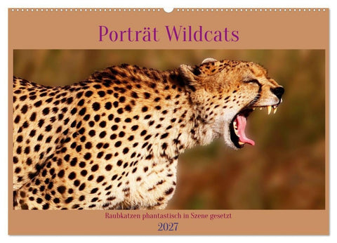 Porträt Wildcats (Wandkalender 2027 DIN A2 quer), CALVENDO Monatskalender