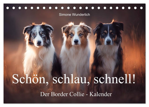 Schön, schlau, schnell! - Der Border Collie - Kalender (Tischkalender 2026 DIN A5 quer), CALVENDO Monatskalender