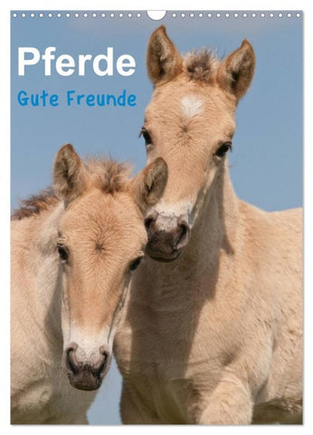 Pferde Gute Freunde (Wandkalender 2027 DIN A3 hoch), CALVENDO Monatskalender