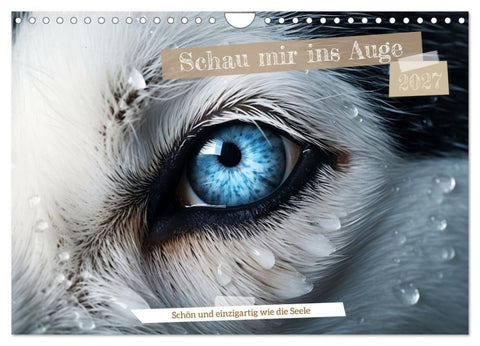 Schau mir ins Auge (Wandkalender 2027 DIN A4 quer), CALVENDO Monatskalender
