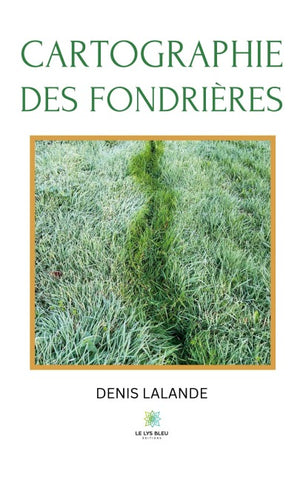 Cartographie des fondrières